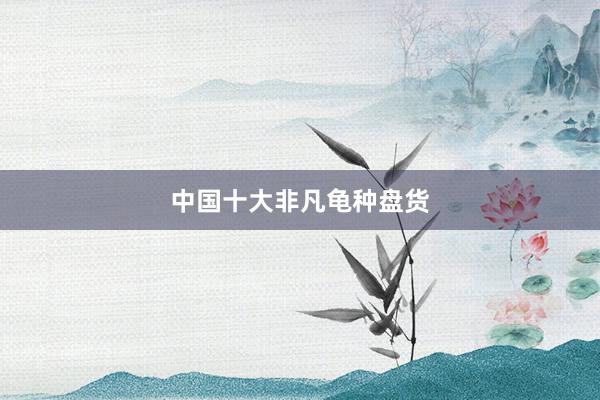 中国十大非凡龟种盘货