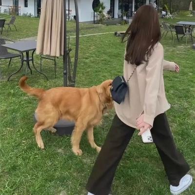 女友节